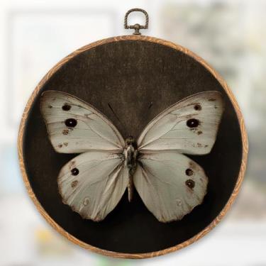 Imagem de XFN Decoração de parede redonda de borboleta vintage, impressão em tela redonda de borboleta escura neutra decoração de pendurar para casa de fazenda, apartamento, quarto, sala de estar, casa de campo