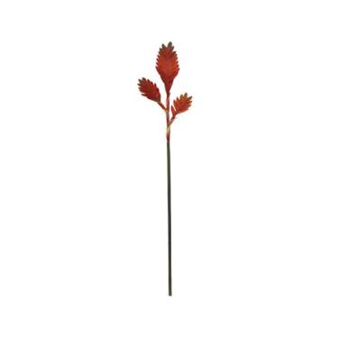 Imagem de Haste em plástico Brilliance Alpinia 80cm vermelha