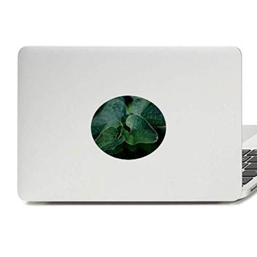 Imagem de Adesivo de notebook com emblema de folhas escuras, imagem de planta de vinil natureza