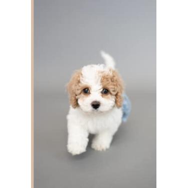 Imagem de Caderno Cavachon para cães: lindo diário pautado pela faculdade para amantes de cães, 15 x 23 cm, 120 páginas (mulheres, homens, meninas, meninos, crianças, presente)