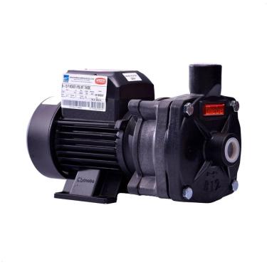Imagem de Bomba Monoestágio B-12 P 1/3 Cv Rotor 104mm Monofásico Motor Thebe Ip55 127/220-254v