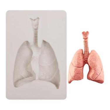 Imagem de Moldes de silicone para órgãos humanos Moldes de fondant de chocolate de pulmão para decoração de bolos de festa de Halloween, topo de cupcake, biscoitos doces, argila de polímero