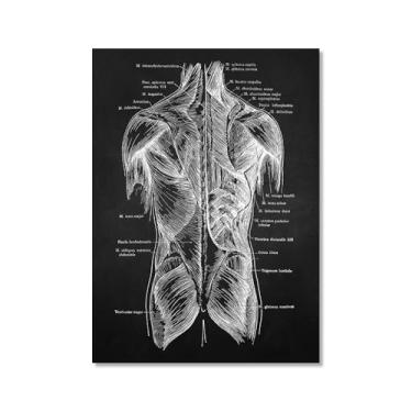 Imagem de Fundo preto anatomia humana arte médica impressões em tela imagens esqueleto músculo pôster vintage educação pintura arte decoração de parede (SKU2,20.3x30.5 cm = (20x30 cm), sem moldura)