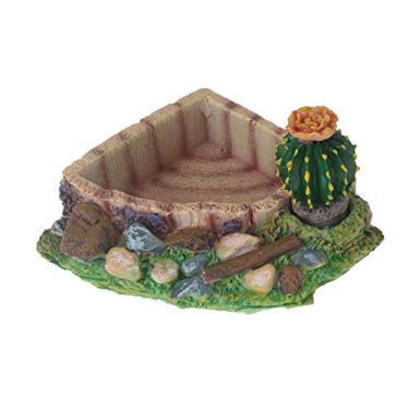 Imagem de Tigela de canto emours réptil anfíbio tartaruga lagarto sapo água alimentador de alimentos cacto com rampa pequena