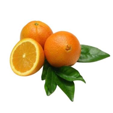 Imagem de Muda Frutífera de Laranja Bahia (Umbigo) Enxertada - AgroJardim