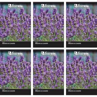 Imagem de Kit 6 Semente de Alfazema Lavanda Verdadeira Flor Planta Jardim