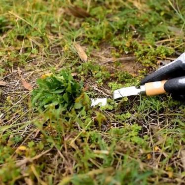 Imagem de KIMISS Mão de Ervas Daninhas - Extrator Manual de Ervas Daninhas Com Pontas de Aço Inoxidável e Alça de Madeira Ergonômica para Facilitar a Remoção de Grama (Cor variada)