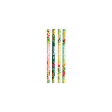 Imagem de 3 unidades LAPIS PTO COLLECT TROPICAL HB - tris