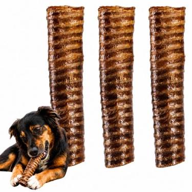 Imagem de Mordedor Pet Traqueia Natural 100% Bovino Caes Brinquedo - - Good
