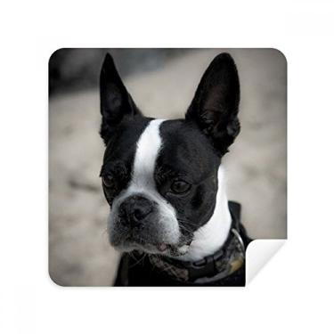 Imagem de Bulldog Pet Animal óculos escuros pano de limpeza de tela tecido de camurça pacote com 2