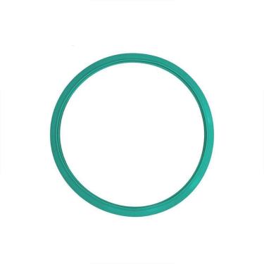 Imagem de Guarnição / Anel De Vedação Autoclave Biotron 12/21 L Verde