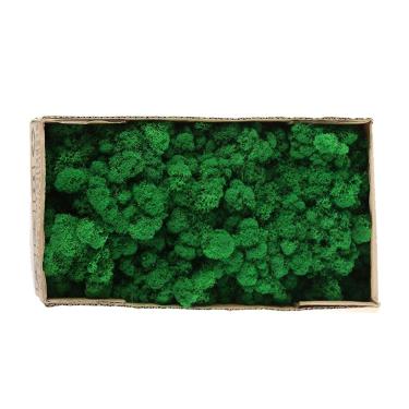 Imagem de Pssopp Rena Preservada Moss Green Moss para Artesanato, Musgo Decorativo para Arranjo Floral, Fabricação de Modelos, Vasos de Plantas (Exército Verde / 500g)