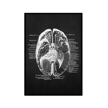 Imagem de Fundo preto anatomia humana arte médica impressões em tela imagens esqueleto músculo pôster vintage educação pintura arte decoração de parede (SKU8,30.5x45.7 cm = (30x45cm), moldura preta)