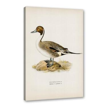 Imagem de Pôster de arte de parede vintage com estampa de pato rústica, pássaros, lago, natureza, retrô, pintura, quadros, decoração de quarto de fazenda (SKU15,27.9x35.6 cm = (28 x 35 cm), emoldurado (tela