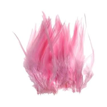 Imagem de Penas De Galo Coloridas Para Iscas De Pesca, 50PCS Para Truta, Salmão,