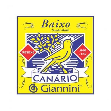Imagem de Corda Para Contrabaixo Giannini Gesbx5 0.40-0.125 Super Leve