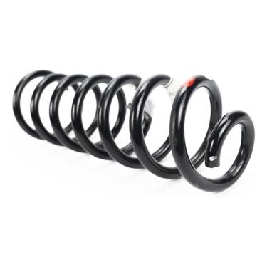 Imagem de Renault Sandero Mola Da Suspensão Traseira Genuíno