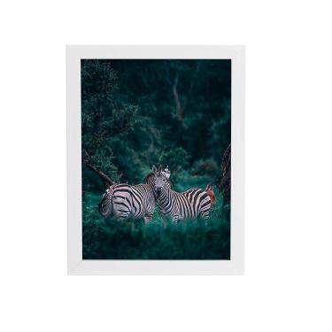 Imagem de Zebras Floresta Natureza Foto Quadro Moldura Branca 60X40Cm