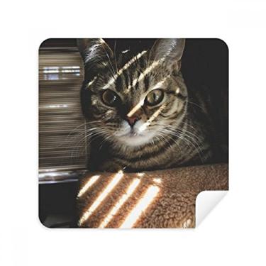 Imagem de Animal Cat Ray Photograph Shoot Glasses Pano Limpador de Tela Tecido Camurça Pacote com 2