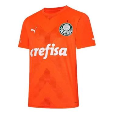 Imagem de Camisa Masculina Goleiro Palmeiras Iii 2023 Laranja, M, Laranja
