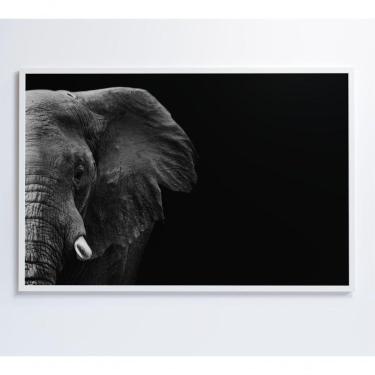 Imagem de Quadro Elefante Preto E Branco 60x40 Cm Vidro Impresso