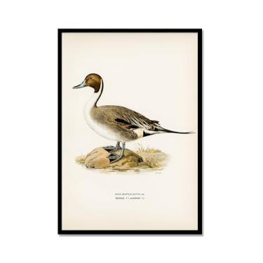 Imagem de Impressão de pato vintage rústico Pato Pato Pato Lago pôster de arte de parede retrô natureza pintura em tela imagens decoração de quarto de fazenda (SKU15,20.3x30.5 cm = (20x30cm), moldura de metal