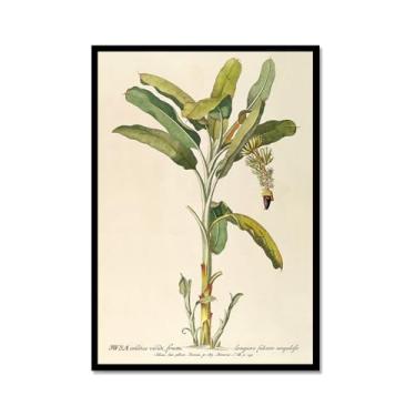 Imagem de Impressão botânica tropical vintage antigo palmeiras abacaxi pôster arte de parede pintura em tela imagem para sala de estar decoração de casa (SKU4,12 x 45,7 cm = (30 x 45 cm), moldura de metal preto