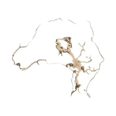 Imagem de Pôster De Arte Em Tela Com Mapa Do Jogo Skyrim Morrowind Arena Antholo