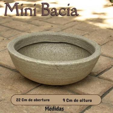 Imagem de Mini bacia 22cm polietileno cactos e suculentas decoração interna e ex