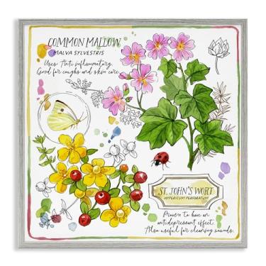 Imagem de Stupell Industries Wild Herbs Benefits Design de arte de parede giclée emoldurado por Jane Maday, moldura cinza, 61 x 61 cm