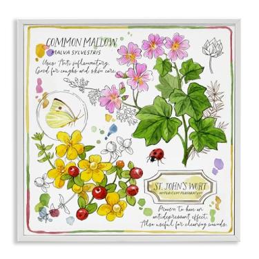 Imagem de Stupell Industries Wild Herbs Benefits Design de arte de parede giclée emoldurado por Jane Maday, moldura branca, 61 x 61 cm