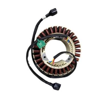 Imagem de Estator para Gerador D12000iE - (RT) - DJI