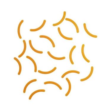 Imagem de 10PCS Almofadas Substitutas De Borracha Para Curvador De Cílios De Alt