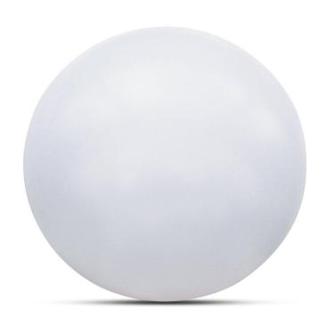 Imagem de Plafon Redondo de Sobrepor Smart LED em Acrílico 27cm 10W 3000K 127V Bronzearte 6400K Luz Branca