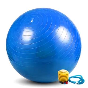 Imagem de Bola de Pilates 65cm com Bomba Fitness para Yoga Abdominal Ginástica Fisioterapia até 150kg (AZUL)