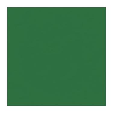 Imagem de Beistle Folhas de papel de seda verde – Pacote com 96, tecido quadrado para artesanato, embrulho de presente para bolsas, caixas, artesanato DIY, enchimento de embalagens para exibições de varejo