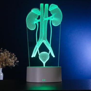 Imagem de PopLumos - Luminária led 3d, muda de cor, 7 cores - sistema urinário, médico urologista