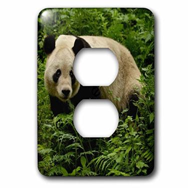 Imagem de 3dRose lsp_70198_6" Giant Panda Bears, Wolong China Conservation, CHINA-AS07 POX0331-Pete Oxford 2 Tomadas