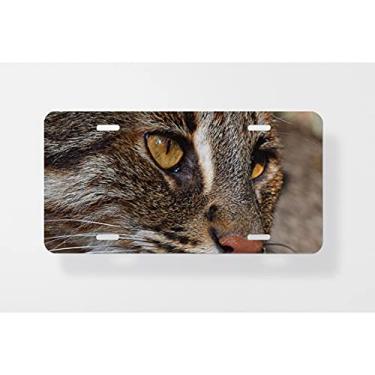 Imagem de Capa para placa de carro Close Up Portrait of Fishing Cat – Capa para placa de carro – Capa para placa de carro 15 x 30 cm