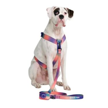 Imagem de Peitoral antipuxão para cães – Projetado para segurança e controle, ideal para raças grandes e fortes – Pitbulls, Boxers – Caleidoscópio – P