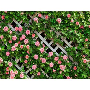 Imagem de AIIKES Cenário de fotografia de flores de 3,5 m x 2,5 m Primavera Floral Foto Fundo Verde Cerca de Folha Cenário de Casamento Noiva Pano de Cenário de Festa de Bebê Aniversário Estúdio 11-453