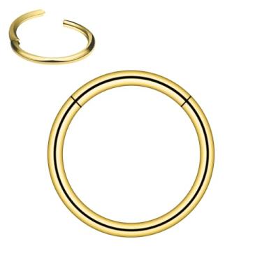 Imagem de Ovxznts Anéis de nariz preenchidos com ouro 14K, argolas de aço inoxidável, anéis de nariz para mulheres, anel de segmento articulado, joia de piercing corporal 20G-18G, Metal, aço inoxidável