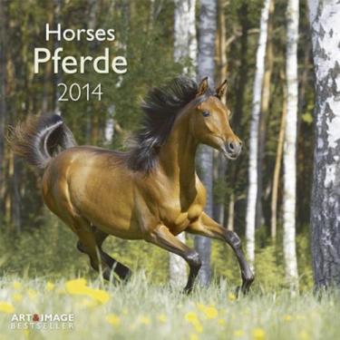Imagem de Calendario de pared 2014: Horses