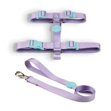 Imagem de Coleira Peitoral H e Guia para Cachorro Fita Premium 100% Poliéster Fecho Resistente(Lilás,P)