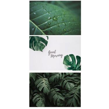 Imagem de Kit Placas Quadros Decorativos 3 pçs MDF 20x30 Folhas