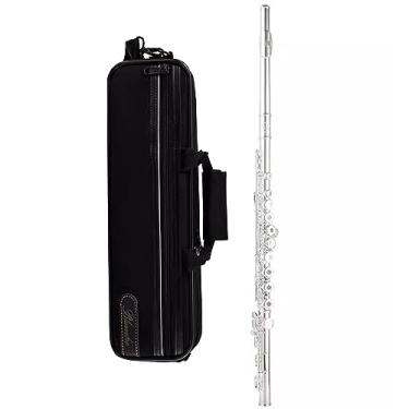 Imagem de Instrumento de flauta soprano gravador instrumento gravador de 16 furos fechado/17 furos aberto-fechado duplo propósito buraco c-chave flauta/296