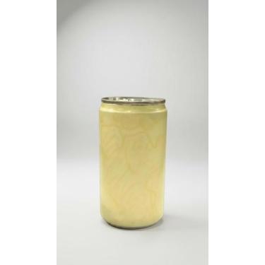 Imagem de Refrigerante Gengibre 220ml - Pack 6un - Congratulations Store