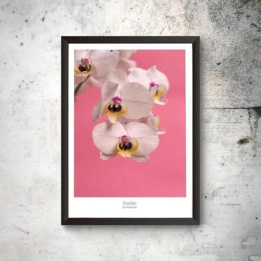 Imagem de Quadro Decoração Flor Orquídea Parede Vaso Grande Moldura