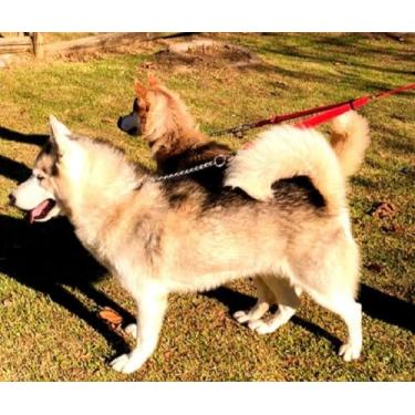 Imagem de Guia Dupla Para Cachorro com Destorcedor - GARI & Co (VERMELHO)