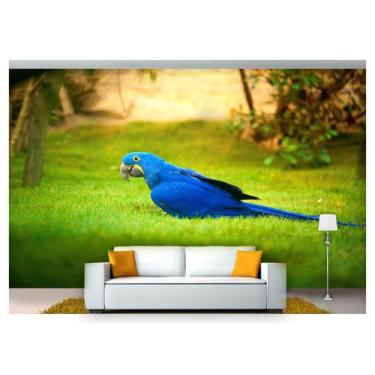 Imagem de Papel De Parede Animais Arara Azul Paisagem Anm126 - Você Decora